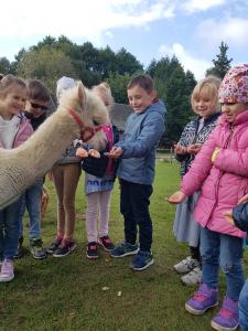Edukacinės ekskursijos (3)