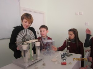 IMG 37981