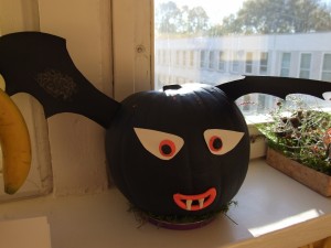 DSCF5165