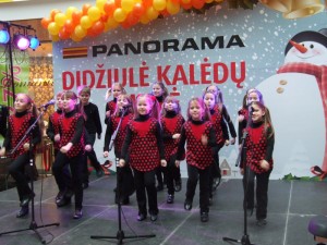 DSCF6673 800x600