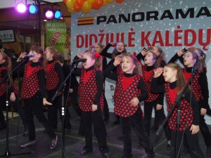 DSCF6681 800x600